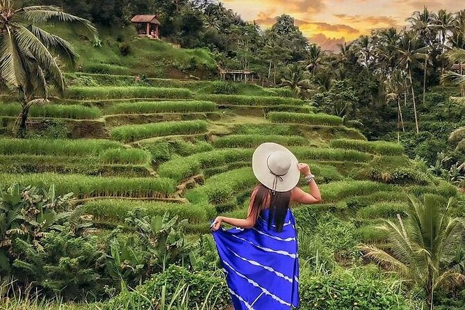 Bali Private Tour - Best of Ubud - All Inclusive - Your driver shapes the quality of the whole day