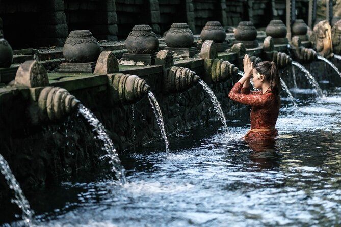 Bali Private Tour - Best of Ubud - All Inclusive - Transport and timing are the real value