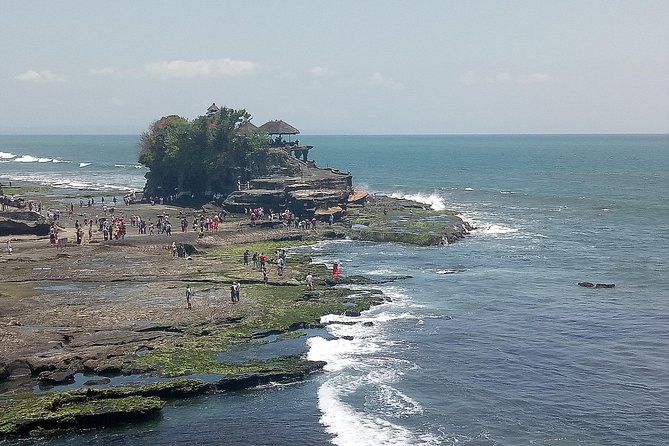 Bali Private Tour Guide And Driver - Ubud, rice terraces, and village life