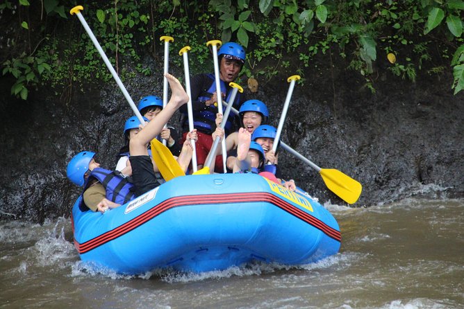 Bali Private Tour Guide And Driver - Cultural explanation is the strongest feature