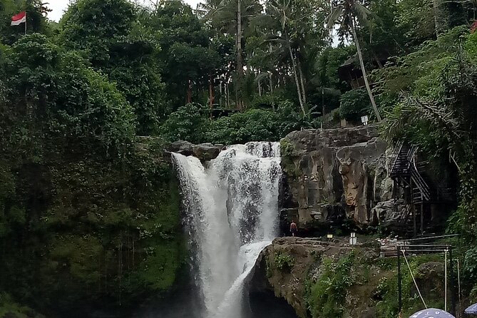 Bali Private Tour Guide And Driver - Comfort, group size, and who should book