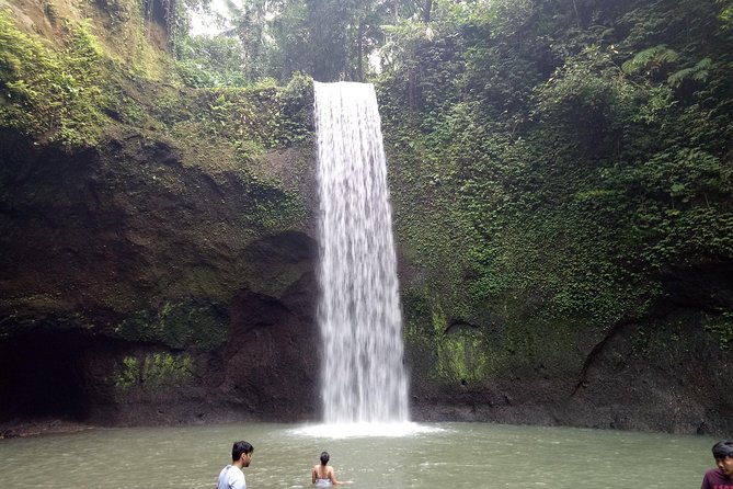 Bali Private Tour Guide And Driver - Why a private driver matters in Bali