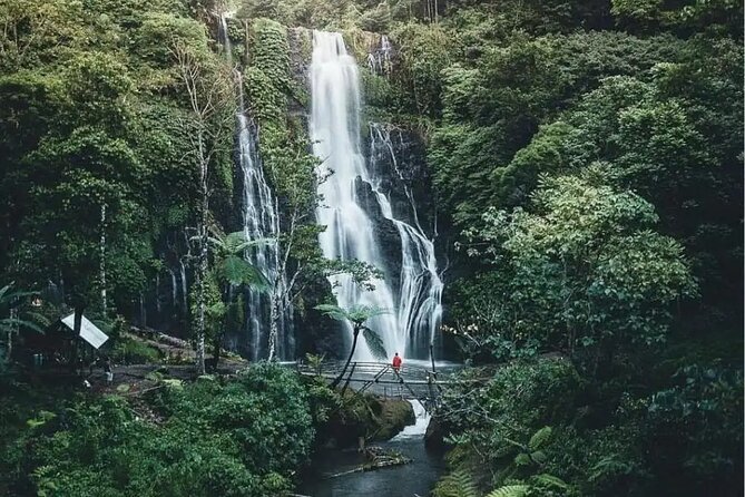 Bali Private Tour: Handara Iconic Gate, Watefall and Temple - Your driver can shape the entire experience