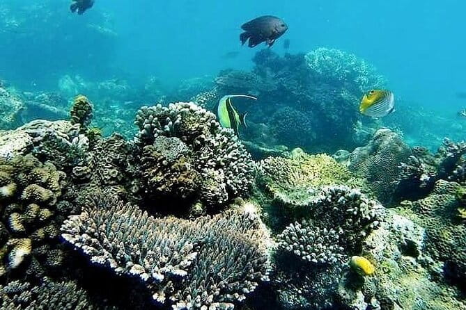 Bali Private Tour: Waterfall, Monkey forest and Tanah lot sunset - What the private vehicle changes