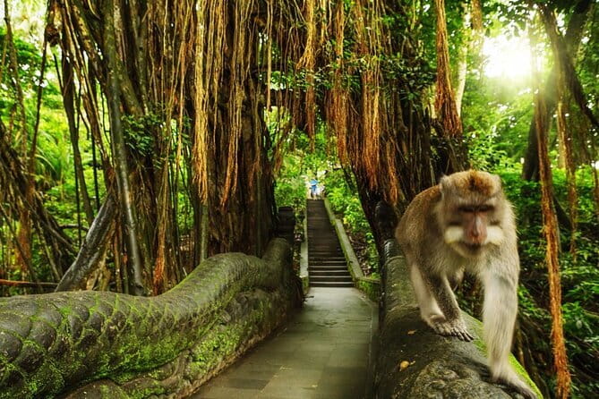 Bali Private Tour: Waterfall, Monkey forest and Tanah lot sunset - Sacred Monkey Forest: Ubud’s close encounter