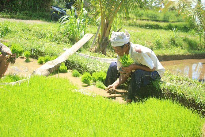 Bali Quad and Buggy Discovery Tour, Including Round-Trip Transfer - Practical details that can make or break the day