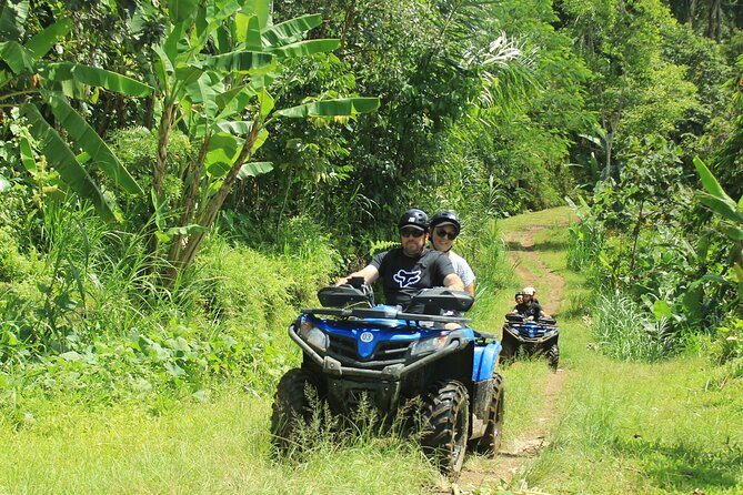 Bali Quad and Buggy Discovery Tour, Including Round-Trip Transfer - Choosing between a quad and a buggy