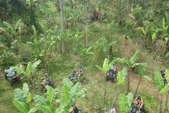 Bali Quad bike ATV passing through Waterfall, Cave & Rice fields - Waterfall, cave, river, and jungle stops