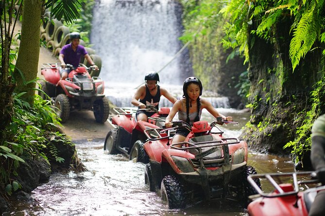 Bali Quad Bike Through Gorilla Cave - Monkey Forest and Waterfall - Two hours on the ATV track