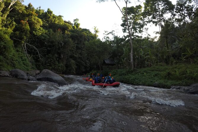 Bali Rafting - Two hours among rapids, waterfalls, and carved rock