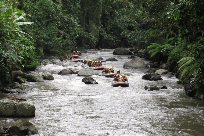 Bali Rafting Ubud with Lunch - Who should book this rafting experience?