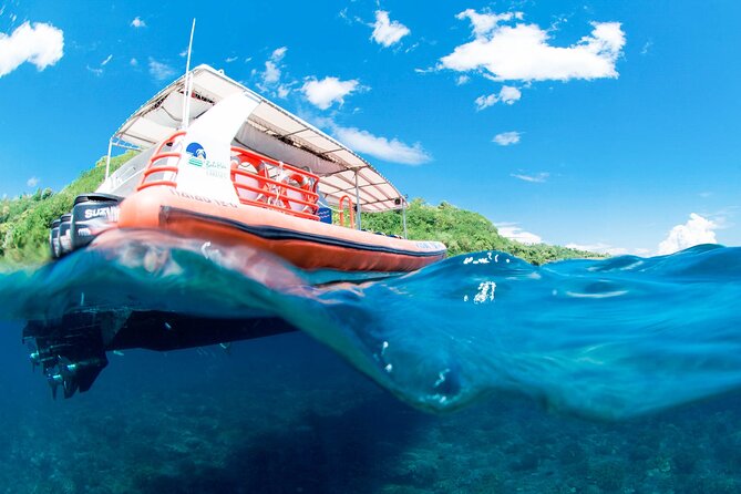 Bali Reef Cruise and Lembongan Island Day Trip - The pontoon: a floating water park