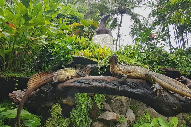 Bali Reptile Park Entrance Ticket - A fair look at animal welfare concerns