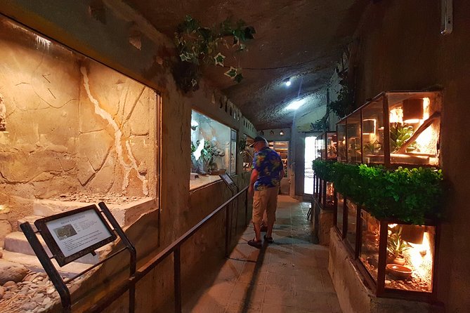 Bali Reptile Park Entrance Ticket - What to bring and how to get the most from it