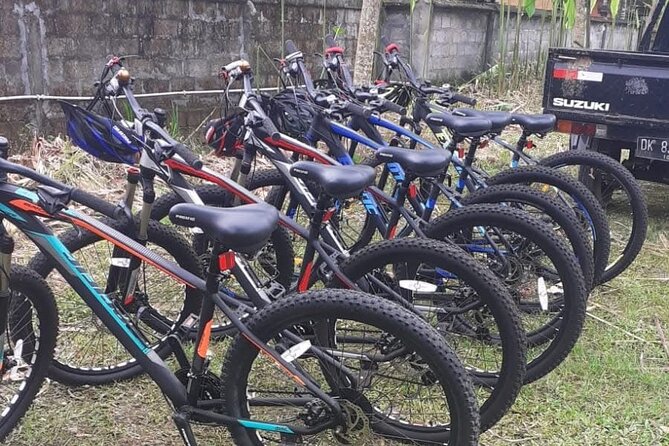 Bali Rural Village Bike - A temple visit with useful cultural explanation