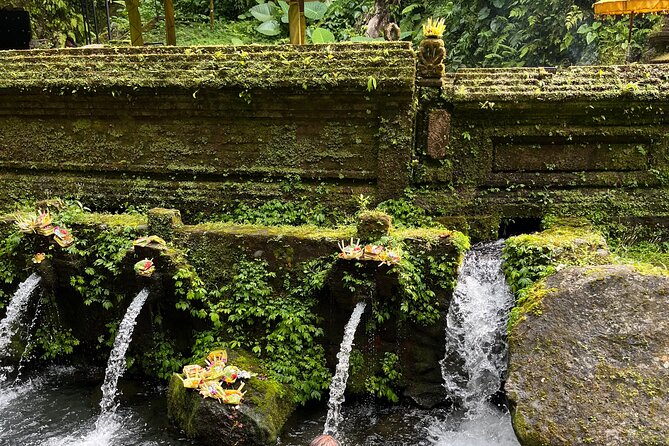 Bali Samanic Healing Purification Natural - Who will enjoy this most?