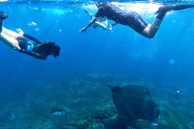 Bali Scuba Diving at Nusa Penida Manta Point For Certified Diver - The third stop changes with the sea
