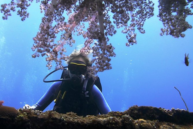 Bali Scuba Diving trip at Tulamben for Certified Diver - What the equipment and briefing include