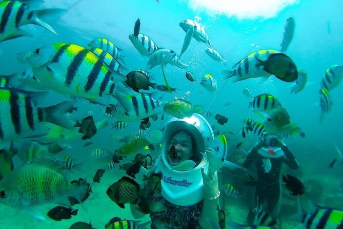 Bali Sea Walker Under Water Experience With Hotel Transfer - Walking across the seabed at 5 to 7 meters