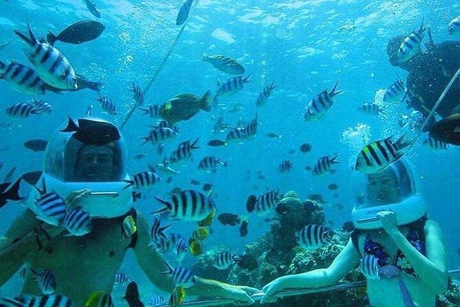 Bali Sea Walker Under Water Experience With Hotel Transfer - Is $32.50 good value?