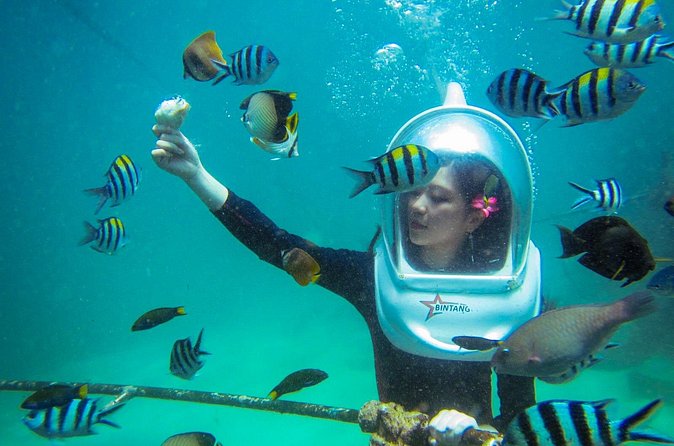 Bali Sea Walker Under Water Experience With Hotel Transfer - Who will enjoy this most
