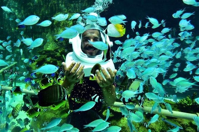 Bali Sea Walker Under Water Experience With Hotel Transfer - Practical planning for a smoother morning
