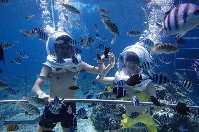 Bali Sea Walker Under Water Experience With Hotel Transfer - The Tanjung Benoa meeting point and first arrangements