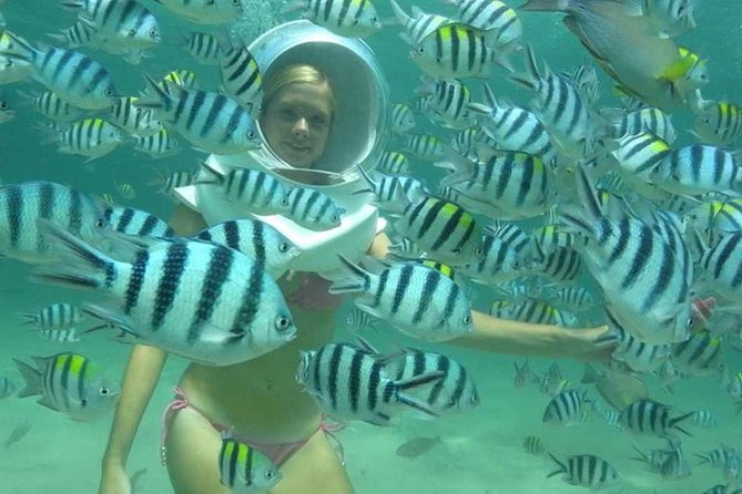 Bali Sea Walking Experience - Putting on the helmet and going below