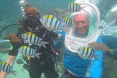 Bali Sea Walking Experience