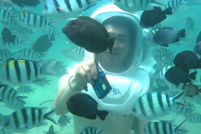 Bali Sea Walking Experience - Who should book this experience