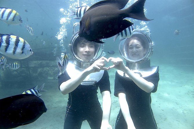 Bali Seawalker - Key points about Bali Seawalker
