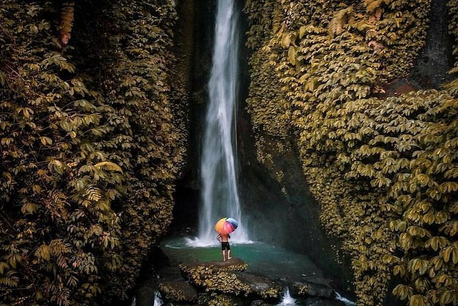 Bali Secret Waterfall Tour - Private and All-Inclusive - What private really means here