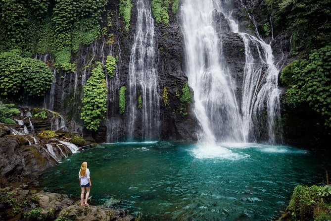 Bali Secret Waterfall Tour - Private and All-Inclusive - Is $109 per person good value?