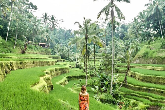 Bali Shore Excursions : Best of Bali Tour - Art, local sights, and the value of a private guide