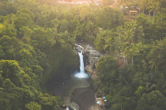 Bali Shore Excursions : Best of Bali Tour - Tegenungan Waterfall: Bali’s natural showpiece