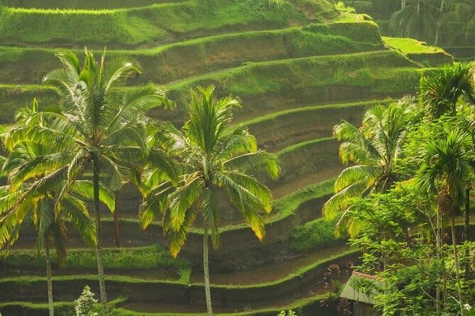 Bali Sightseeing - What the private car and guide add