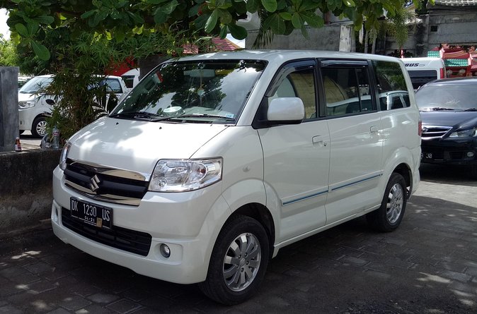 Bali Sightseeing Car Hire with English-speaking Guide and Driver - What the $30 Price Includes, and What It Does Not