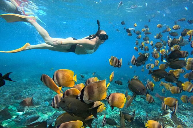Bali Snorkeling 2 Spot at Blue Lagoon with Lunch & Transport - Blue Lagoon snorkeling at a glance