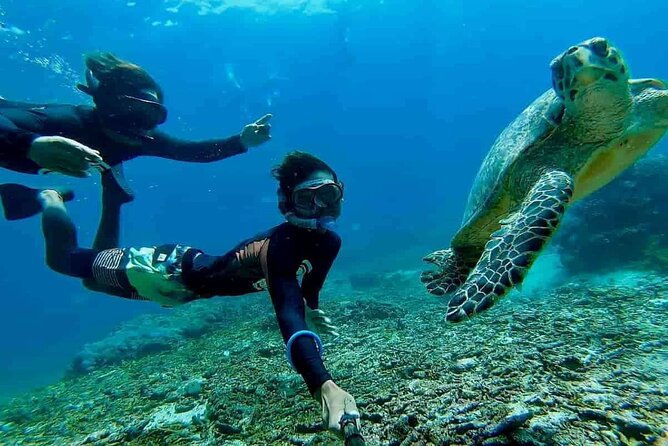 Bali Snorkeling 2 Spot at Blue Lagoon with Lunch & Transport - What the $19 price really covers