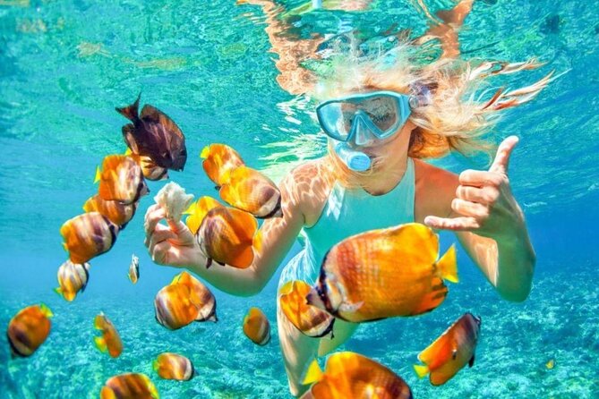 Bali Snorkeling 2 Spot at Blue Lagoon with Lunch & Transport - Kuta and Denpasar: transport stops, not sightseeing stops
