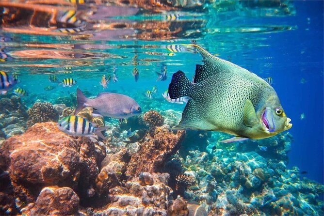 Bali Snorkeling 2 Spot at Blue Lagoon with Lunch & Transport - Arriving at Padang Bai Beach