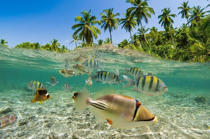 Bali Snorkeling 2 Spot at Blue Lagoon with Lunch & Transport - Two hours at Blue Lagoon Beach