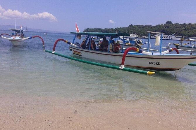 Bali Snorkeling 2 Spot at Blue Lagoon with Lunch & Transport - Starting at Topi Inn in Padangbai