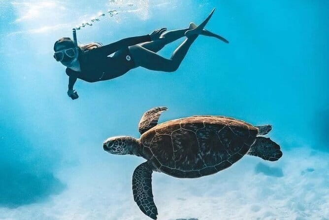 Bali Snorkeling at Blue Lagoon and Tanjung Jepun with Transfer - Why this Padangbai trip works from Ubud