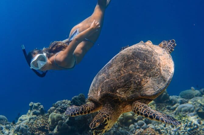 Bali Snorkeling at Blue Lagoon and Tanjung Jepun with Transfer - What happens after the water time