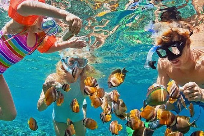 Bali Snorkeling at Blue Lagoon with Transport and Lunch - Quick facts about the Blue Lagoon outing