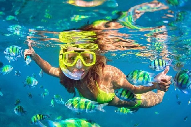 Bali Snorkeling at Blue Lagoon with Transport and Lunch - The ride to Padangbai