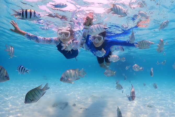 Bali Snorkeling Blue Lagoon with lunch &Optional waterfall Visit - Why this tour works for a busy Bali holiday