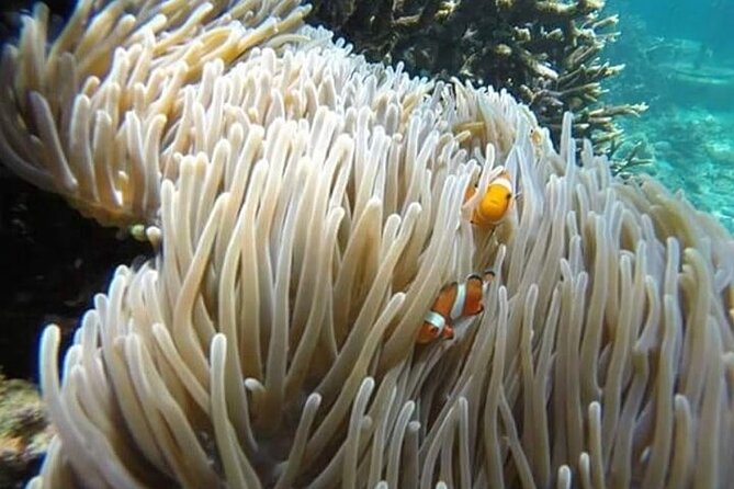 Bali Snorkeling Blue Lagoon with lunch &Optional waterfall Visit - Leaving Seminyak for Padang Bai
