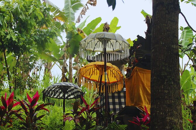 Bali Spiritual: Blessing Ceremony, Pristine Nature and Transfer - Key points to know before you book